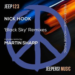 Nick Hook - 'Black Sky' Remixes