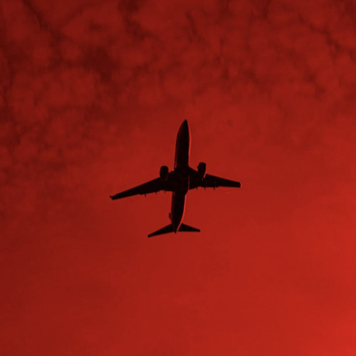 Reda - To See Bee (Original Mix)