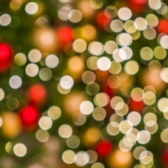 100 Quickstep "Jingle Bells"