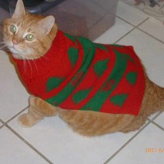 Yung ChiKin - Whistlin Billy