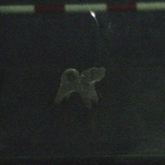 나를 위한 일 (Demo)