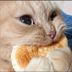 dj nevykele demo remix