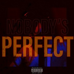 Nobodies Perfect (REMIX)