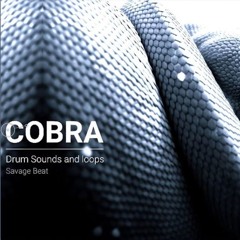 16 Royalty-Free Drum Samples [FREE] Cobra Drum Kit by Savage Beat