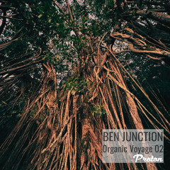 Organic Voyage 02 (DJ Mix)