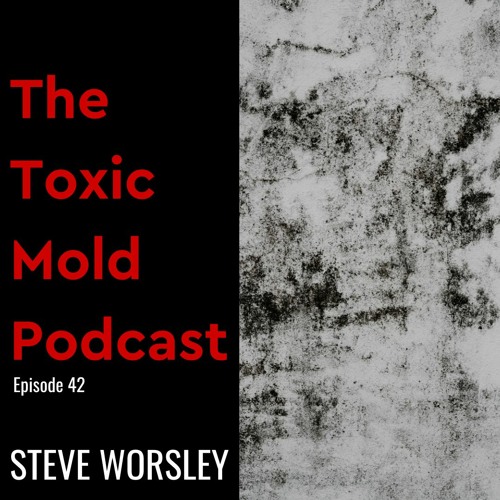 EP 42: How to Detect a Mold Concern