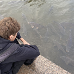 Hoodtrap cypher ft. legobygger123, charl!e, pillesniff38, spritbillist12, tra1n