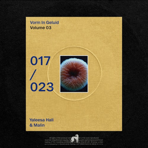 Yaleesa Hall & Malin - Vorm In Geluid 017
