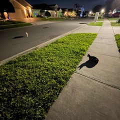 Face/Off (prod. aura)