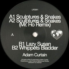Adam Curtain  - Sculptures & Snakes EP (Incl. Mr. Ho Remix) (LIFS001)