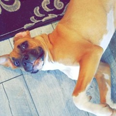 Uno (Prod. by @nun21a)