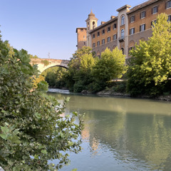 Until We all arrive (Knox YP)