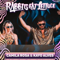 Rabbits eat lettuce 2025 Wabboz stage