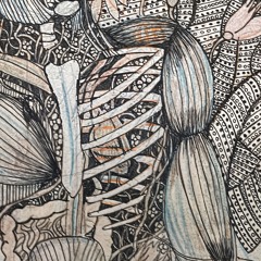 Freestyle cover inspirado en Sin banderas- kilómetros