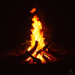 Fire's Hot  Smoke Goes UP