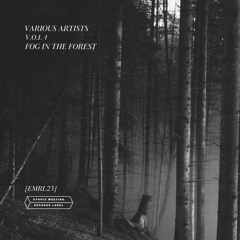 V.A. Vol. 4 - Fog In The Forest (Previews) / [EMRL023]
