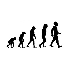 Episode 45 - Evolution | آیا ما از نسل میمون‌ها هستیم؟