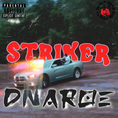 Striker