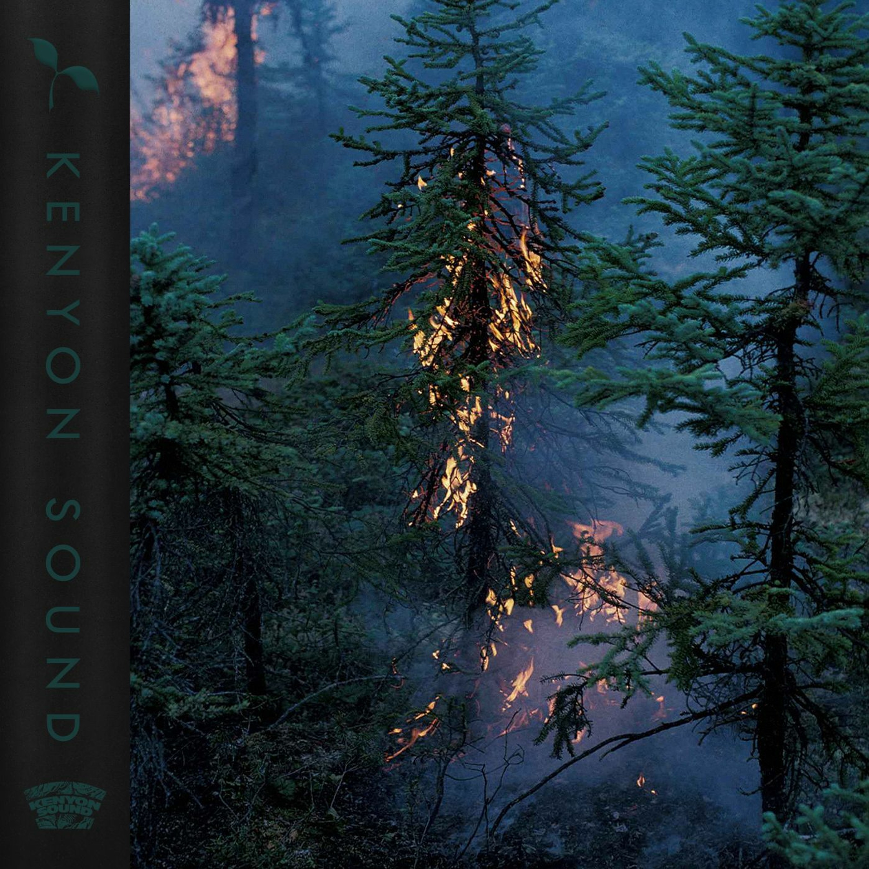 Kenyon Sound