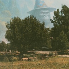 Druid Party in Valdez, New Mexico (7-5-24)