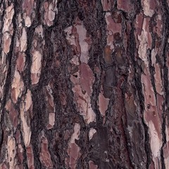 philosophical prod queenkilla