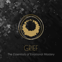 Guided Attunement - Navigating Grief