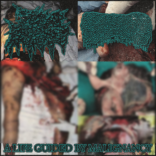 Splattering Afterbirth