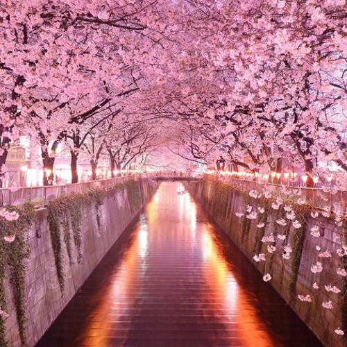 tana-u kno how it go (unreleased)