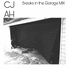 Breaks In The Garage MIX