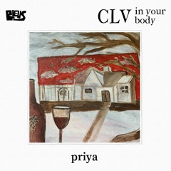 CLV - priya