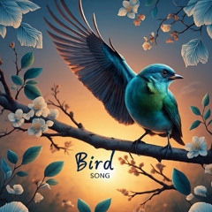 A Bird Song