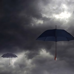 Like This Weather