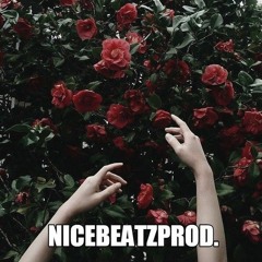 Nicebeatzprod. - Ты Снишься Мне Во Снах