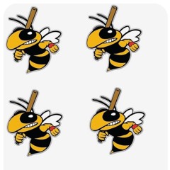 B6 ~ Derek Jeter/Bumblebee