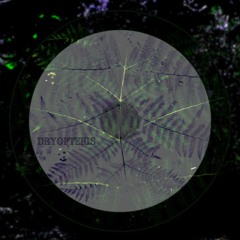 SYKL | Dryopteris