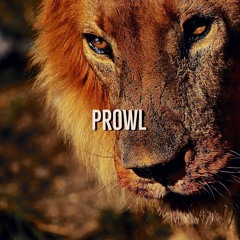 Prowl