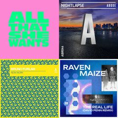 Hype Tech House