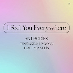 I Feel You Everywhere (Antibodies) [feat. Cara Melín]