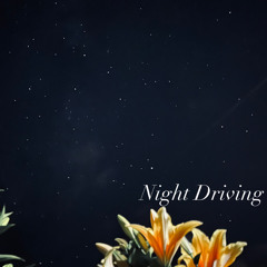 Night Driving