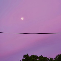Purple Sky