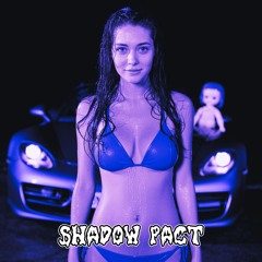 Shadow Pact
