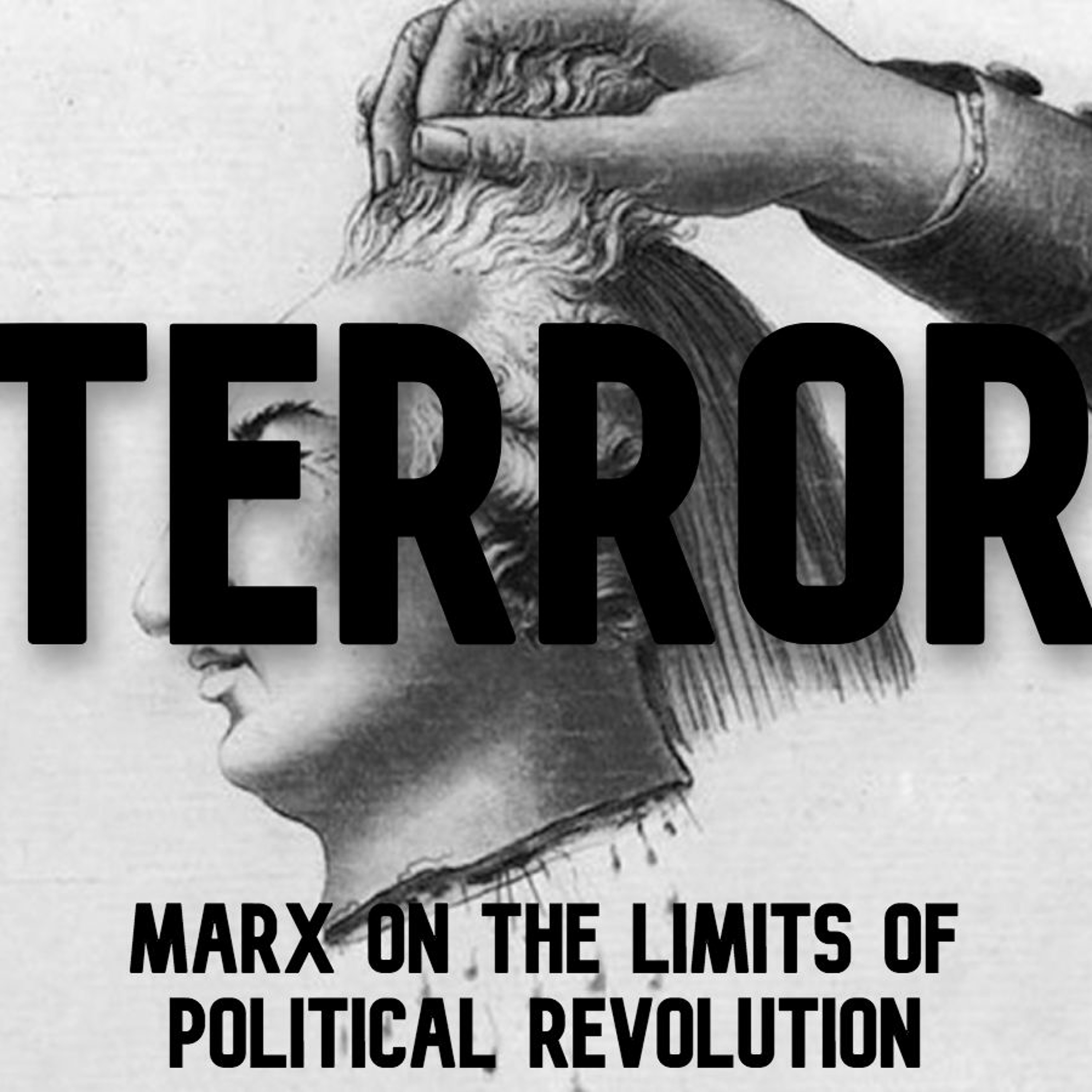 47. Terror: Marx on the Limits of Political Revolution | Shlomo Avineri episode artwork