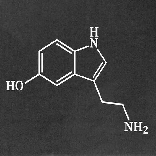 The Blessed Madonna - Serotonin Moonbeams Distances REMIX