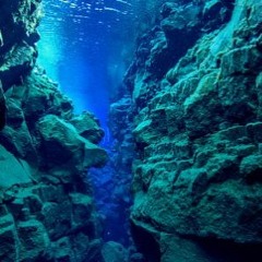 Kontinentaldrift livejam A+++/Elektroschall