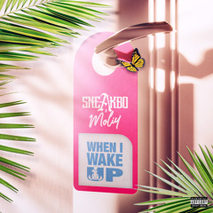 When I Wake Up (feat. Moliy)
