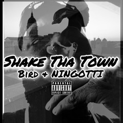 Shake The Town (feat. NinGotti)