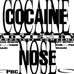 Playboi Carti - COCAINE NOSE* (Official Audio)