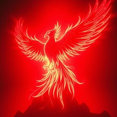 The 1st Rebirth 2025