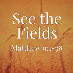 See the Fields