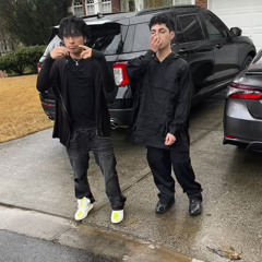 petnife x dye - reggie